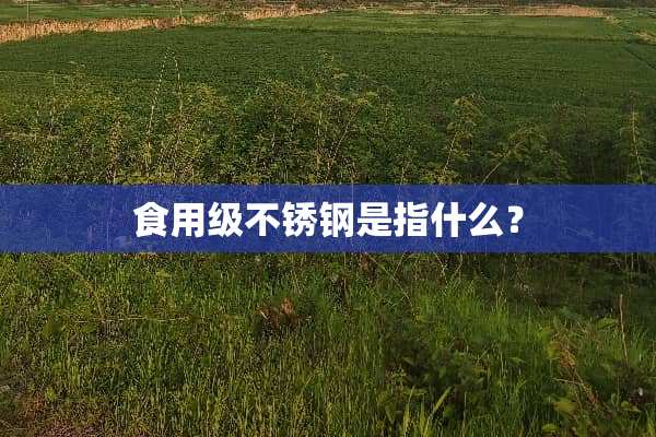 食用级不锈钢是指什么？