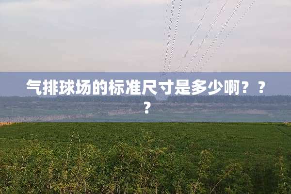气排球场的标准尺寸是多少啊？？？
