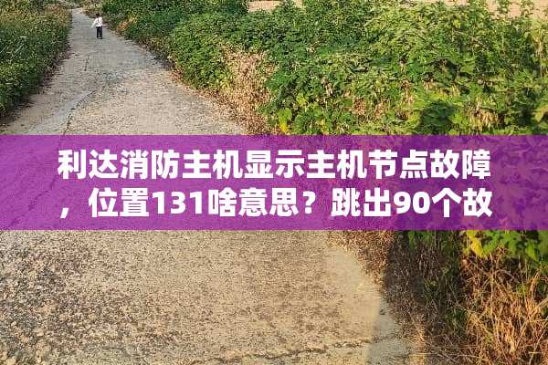 利达消防主机显示主机节点故障，位置131啥意思？跳出90个故障点，怎么查？