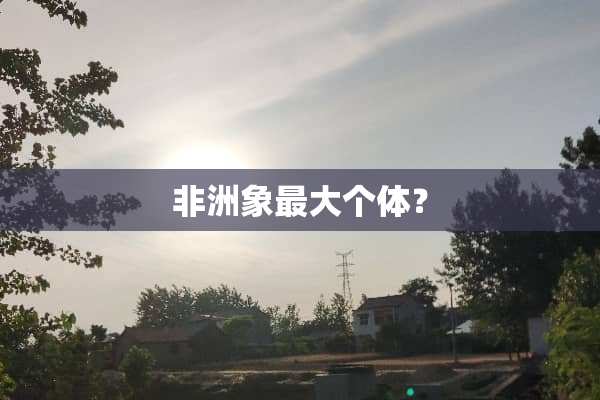 非洲象最大个体？