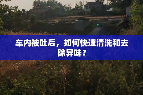车内被吐后，如何快速清洗和去除异味？