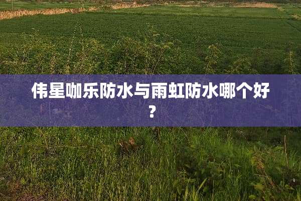 伟星咖乐防水与雨虹防水哪个好？