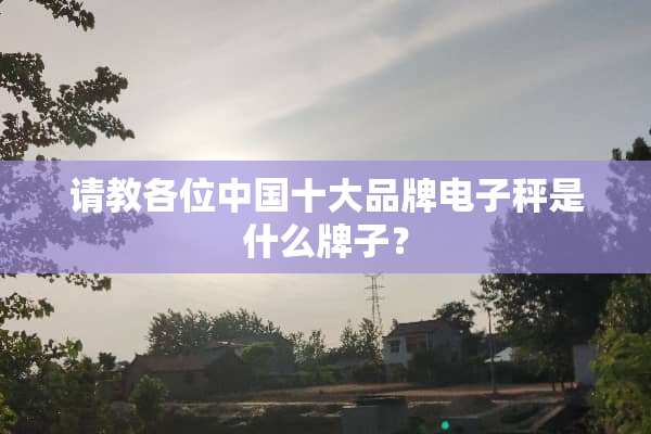 请教各位中国十大品牌电子秤是什么牌子？