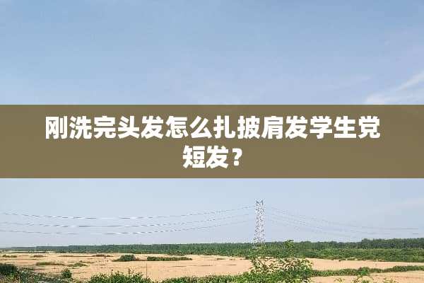 刚洗完头发怎么扎披肩发学生党短发？