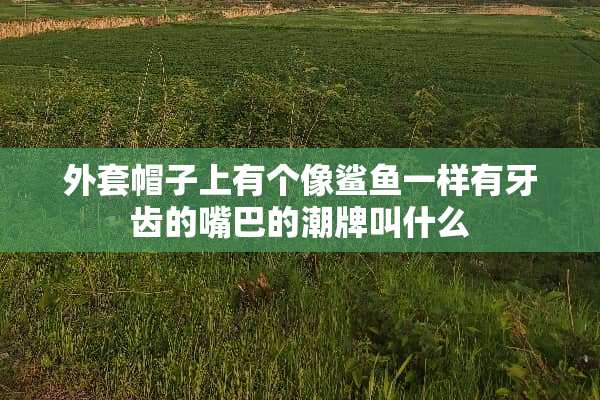 外套帽子上有个像鲨鱼一样有牙齿的嘴巴的潮牌叫什么