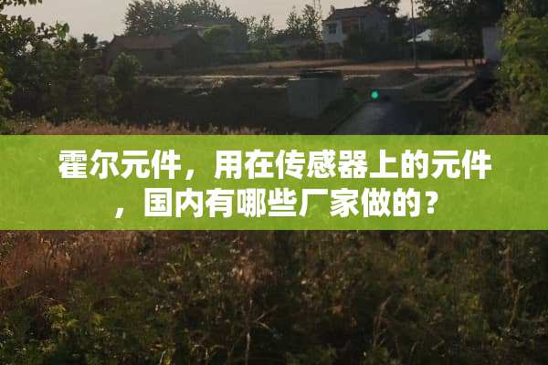 霍尔元件，用在传感器上的元件，国内有哪些厂家做的？