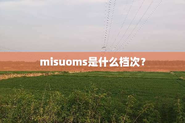 misuoms是什么档次？