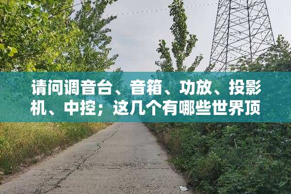 请问调音台、音箱、功放、投影机、中控；这几个有哪些世界**品牌？越贵越好！