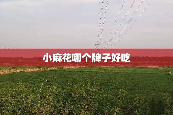 小麻花哪个牌子好吃