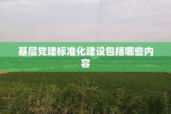 基层*建标准化建设包括哪些内容