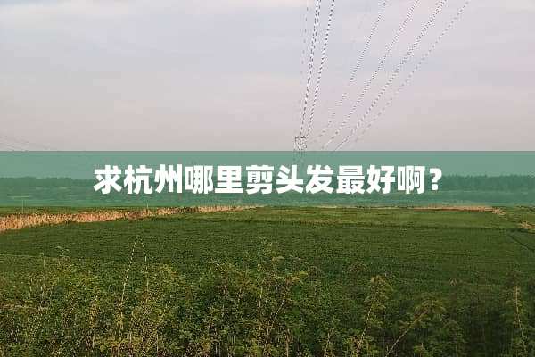 求杭州哪里剪头发最好啊？