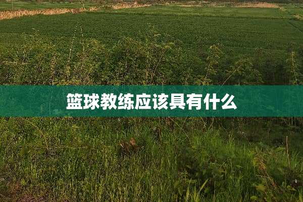 篮球教练应该具有什么