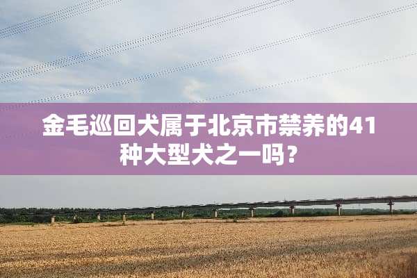 金毛巡回犬属于北京市禁养的41种大型犬之一吗？