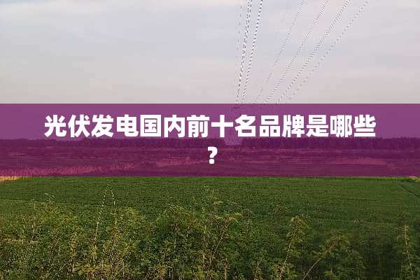 光伏发电国内前十名品牌是哪些？