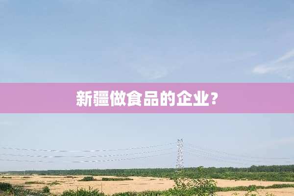 新疆做食品的企业？