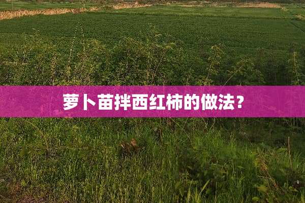萝卜苗拌西红柿的做法？
