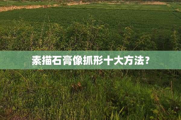 素描石膏像抓形十大方法？