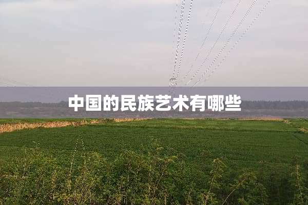 中国的民族艺术有哪些