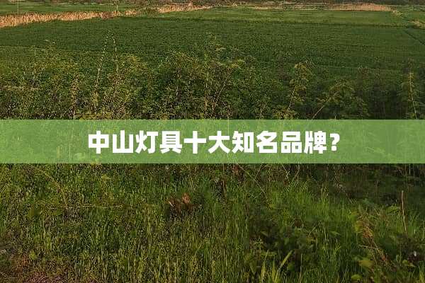 中山灯具十大知名品牌？