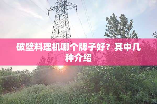 破壁料理机哪个牌子好？其中几种介绍
