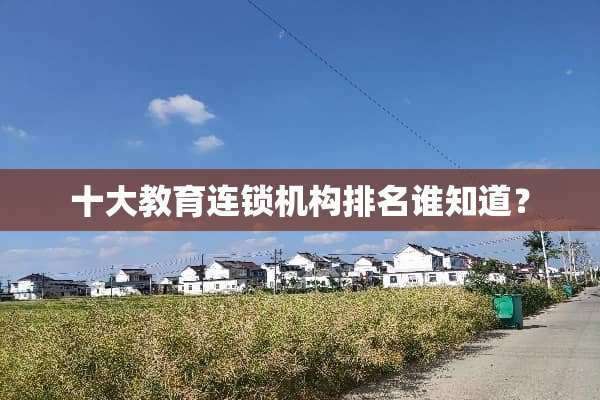 十大教育连锁机构排名谁知道？