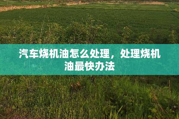 汽车烧机油怎么处理，处理烧机油最快办法