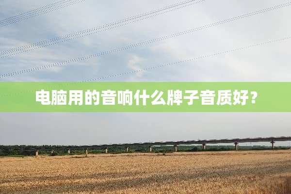 电脑用的音响什么牌子音质好？