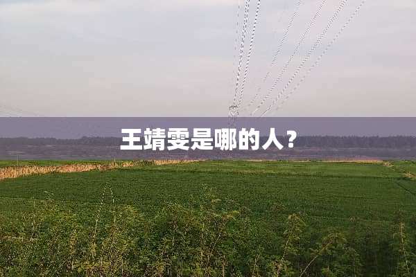 王靖雯是哪的人？