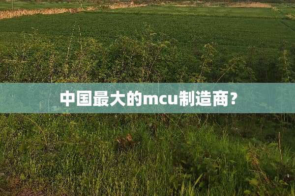 中国最大的mcu制造商？