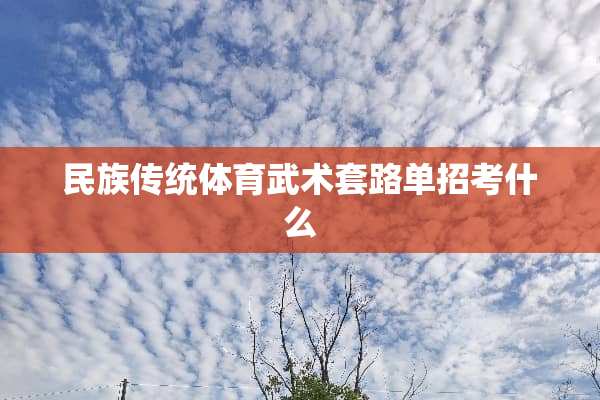 民族传统体育武术套路单招考什么