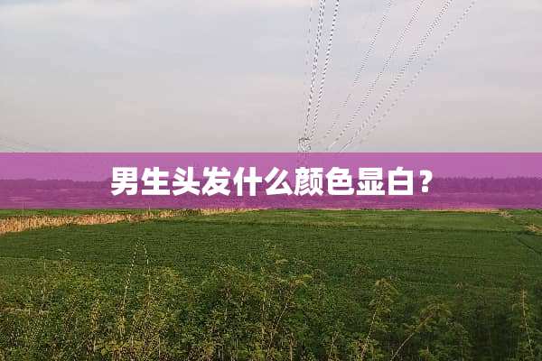 男生头发什么颜色显白？