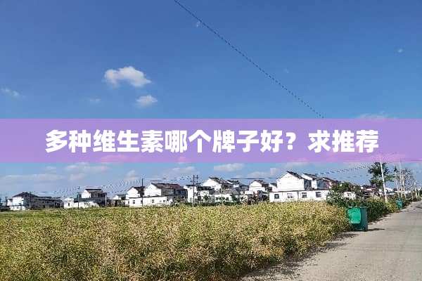 多种维生素哪个牌子好？求推荐