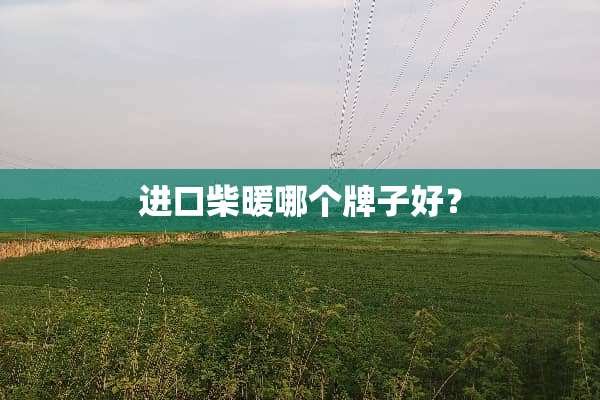 进口柴暖哪个牌子好？