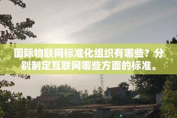国际物联网标准化组织有哪些？分别制定互联网哪些方面的标准。