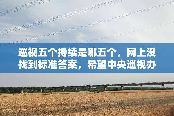 巡视五个持续是哪五个，网上没找到标准答案，希望**巡视办给个标准答案。