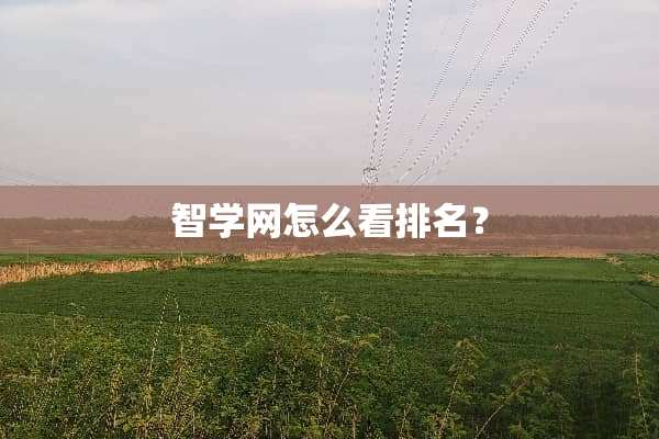 智学网怎么看排名？