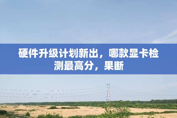 硬件升级计划新出，哪款显卡检测最高分，果断