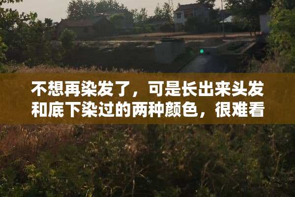 不想再染发了，可是长出来头发和底下染过的两种颜色，很难看怎么办？