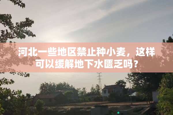 河北一些地区禁止种小麦，这样可以缓解地下水匮乏吗？