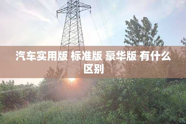 汽车实用版 标准版 豪华版 有什么区别