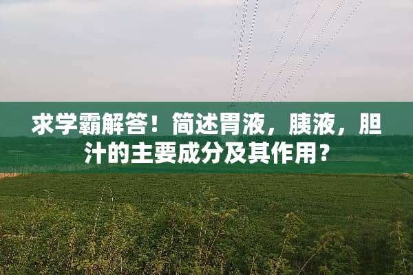 求学霸解答！简述胃液，胰液，胆汁的主要成分及其作用？