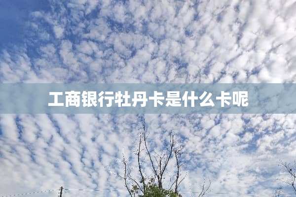 工商银行牡丹卡是什么卡呢