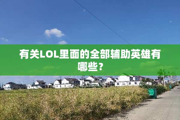 有关LOL里面的全部辅助英雄有哪些？