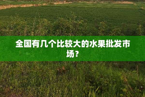 全国有几个比较大的水果批发市场？