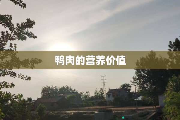 鸭肉的营养价值