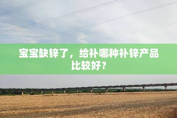 宝宝缺锌了，给补哪种补锌产品比较好？
