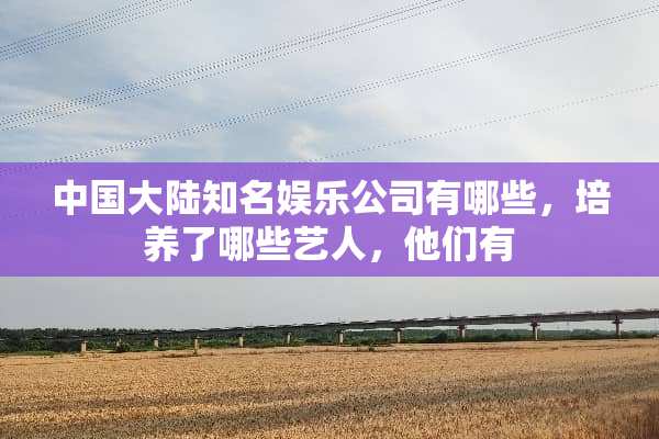 中国**知名娱乐公司有哪些，培养了哪些艺人，他们有