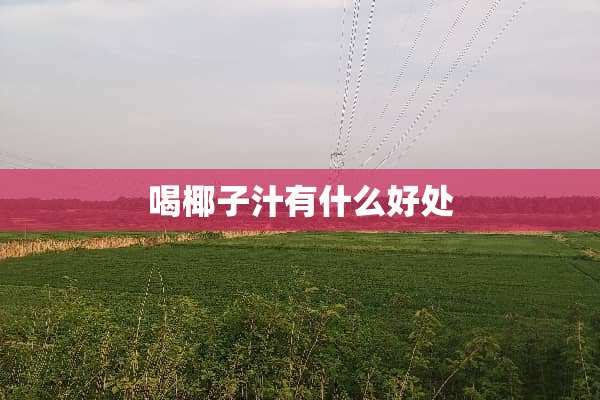 喝椰子汁有什么好处