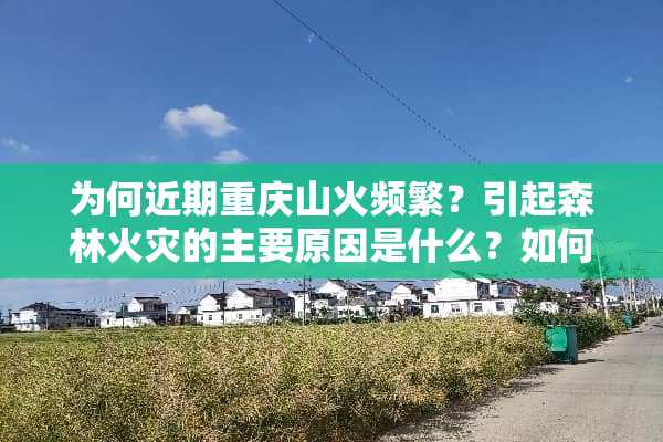 为何近期重庆山火频繁？引起森林火灾的主要原因是什么？如何预防？