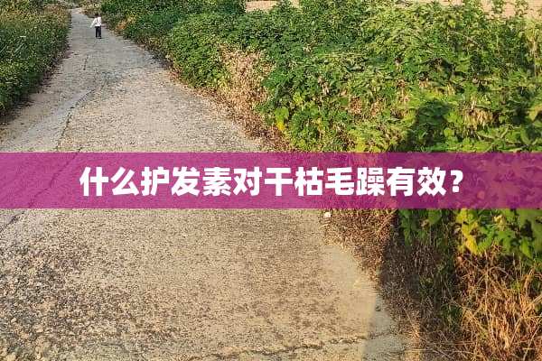什么护发素对干枯毛躁有效？